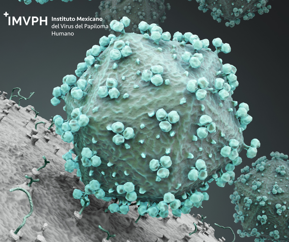 Virus del Papiloma Humano: Guía completa de prevención, detección y tratamiento